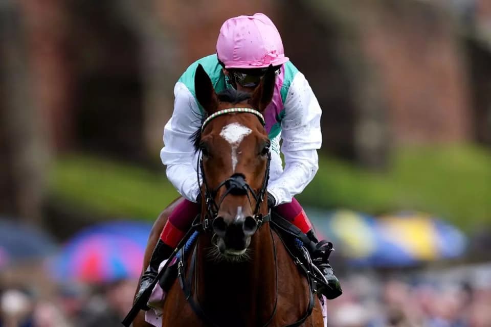 Arrest and Frankie Dettori are looking for Royal Ascot success