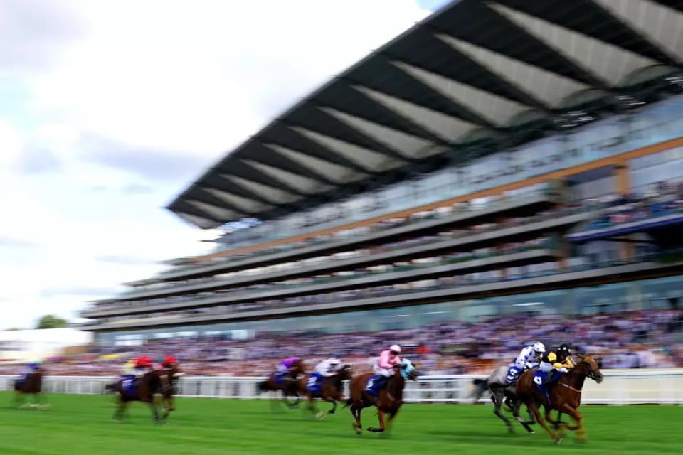 Ascot racecourse