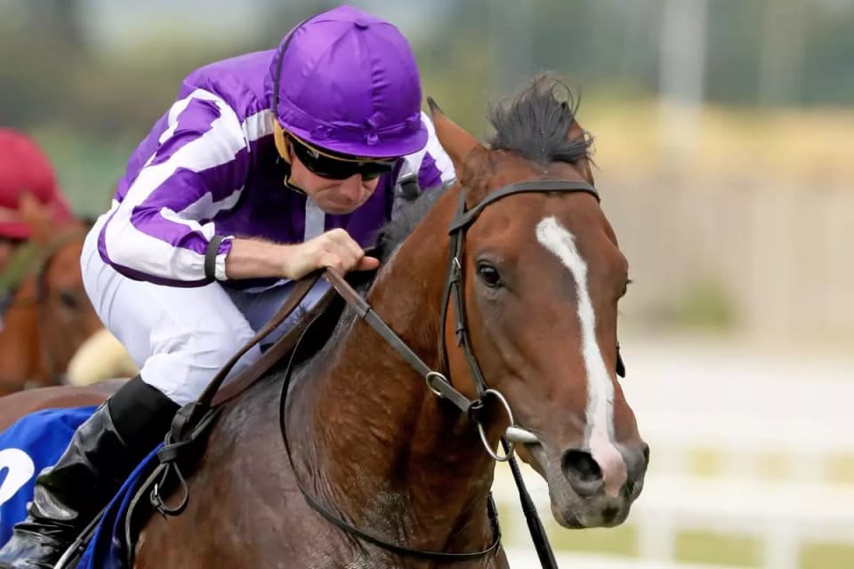 Continuous and Ryan Moore