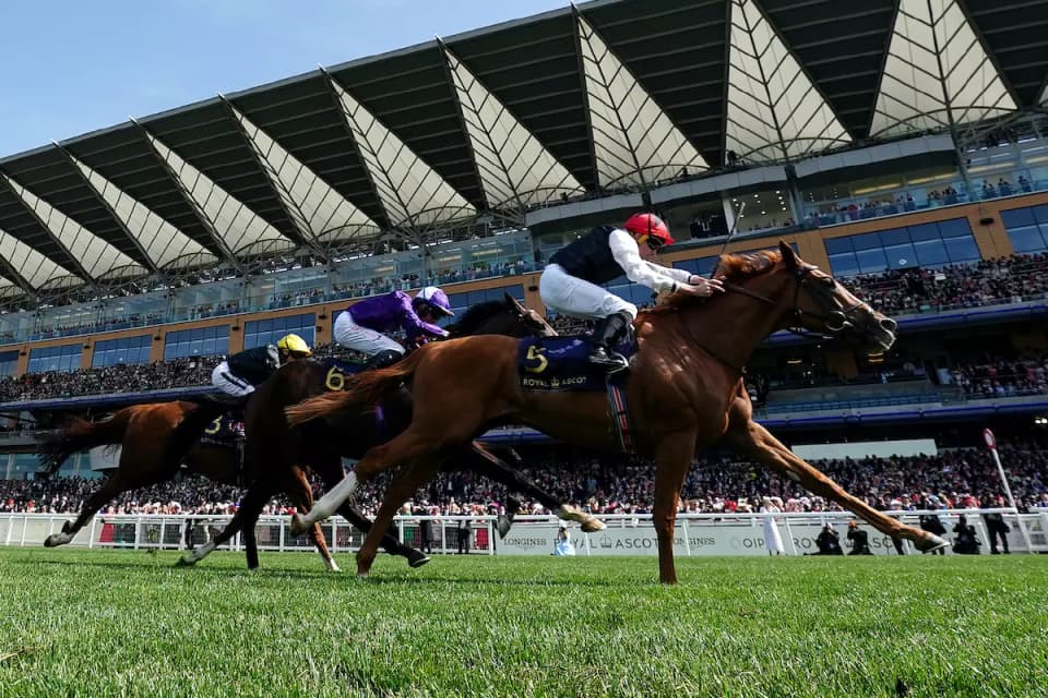 Kyprios at Royal Ascot