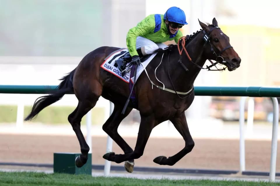 Subjectivist is looking for more Gold Cup glory at Royal Ascot