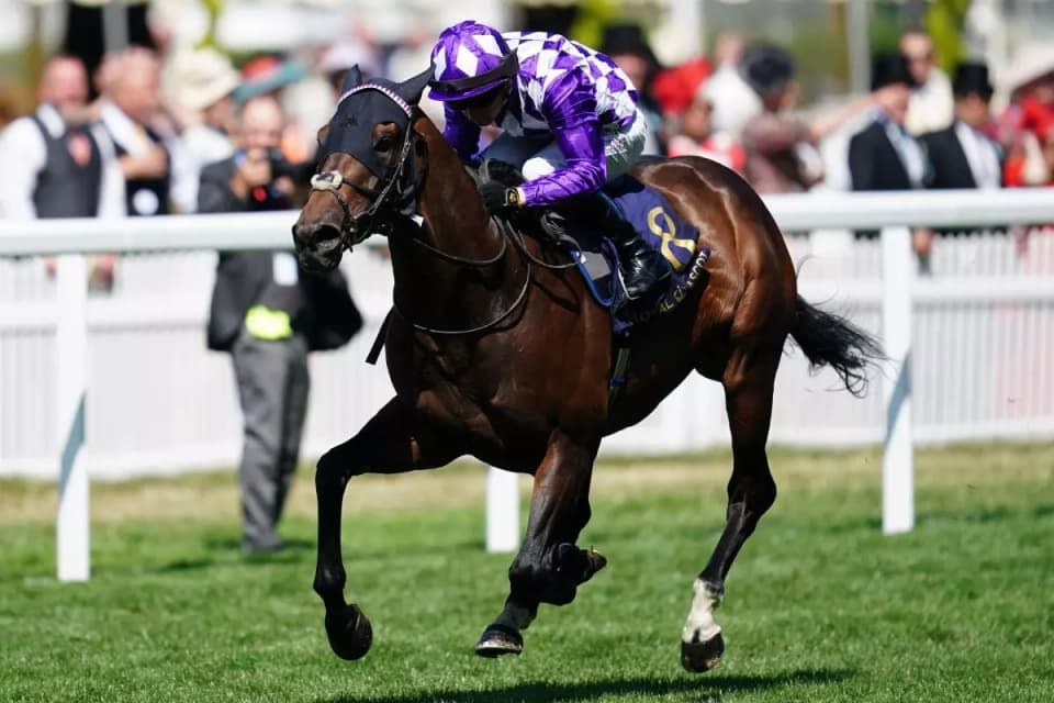 Shaquille and Oisin Murphy