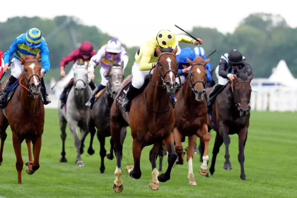 Ryan Moore is hoping for more Royal Ascot glory on The Antarctic