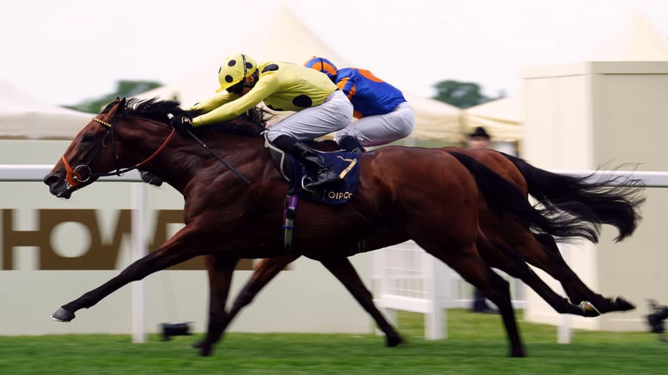 Rosallion ridden by Sean Levey on their way to winning the St James's Palace Stakes at Royal Ascot