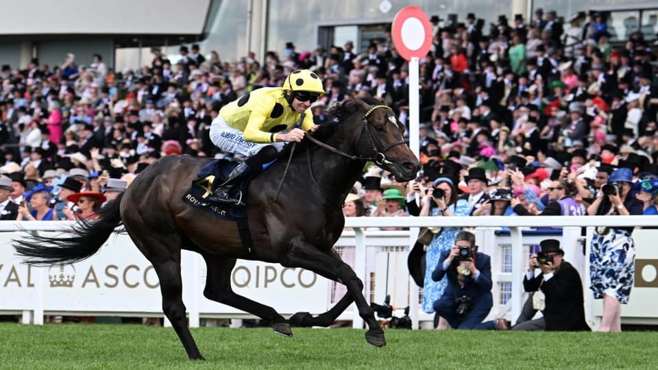 Inisherin ridden by Tom Eaves wins Commonwealth Cup at Royal Ascot